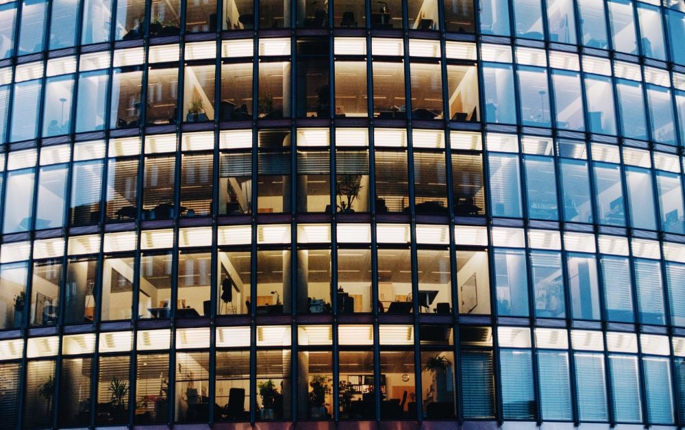 Corporate Purpose, Performance, and Board Decisions